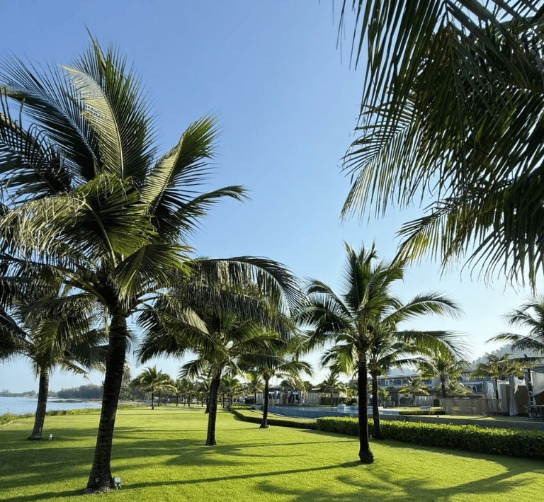 thailand-reise-the-little-shore-khao-lak-palmen.jpg