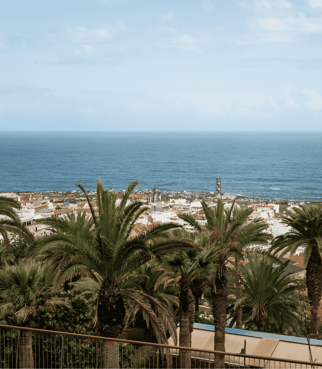 Panoramaaussicht auf die Küste mit Palmen und der Stadt am Meer, ideal für einen entspannten Urlaub.